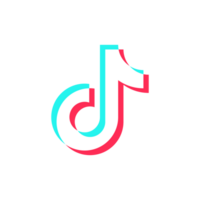 TikTok Icon